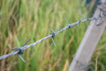 Fototapeta premium Barbed wire fence and green field closeup