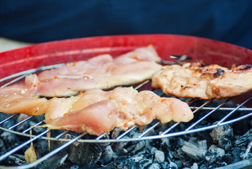 Chicken and beaf meat Barbecue at the backyard