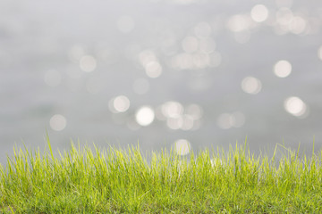 Obraz premium Peaceful. 