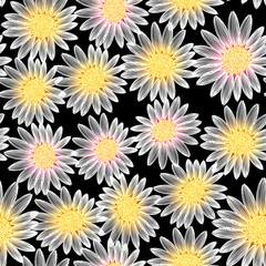 White daisy flower in a seamless pattern