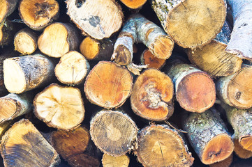 Logs