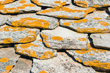 Rocks with lichen