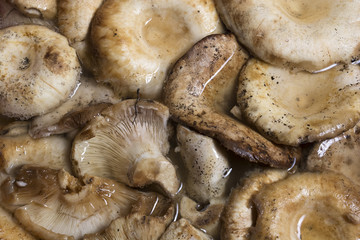 White mushrooms cleaning in water bowl