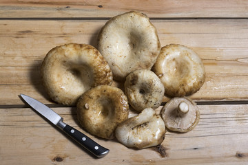 White mushrooms on a wooden table