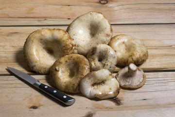 White mushrooms on a wooden table