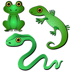 Obraz premium Amphibians and reptiles