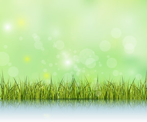 Fototapeta na wymiar Green grass with reflection on water floor.Bokeh effect on light green and blue pastel color background with copy space. Spring nature season and Blank space for content or your design as background