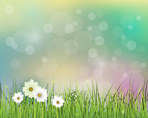 Fototapeta na wymiar Vector illustration Spring nature field with green grass, white Gerbera- Daisy flowers at meadow and water drops dew on green leaves, with bokeh effect on blue-green pastel colorful background