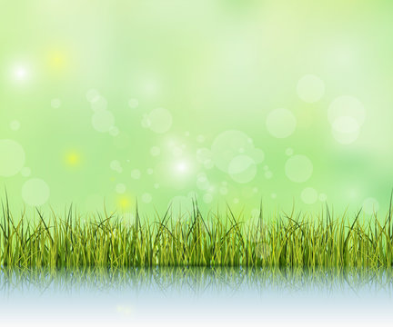 Green grass with reflection on water floor.Bokeh effect on light green and blue pastel color background with copy space. Spring nature season and Blank space for content or your design as background