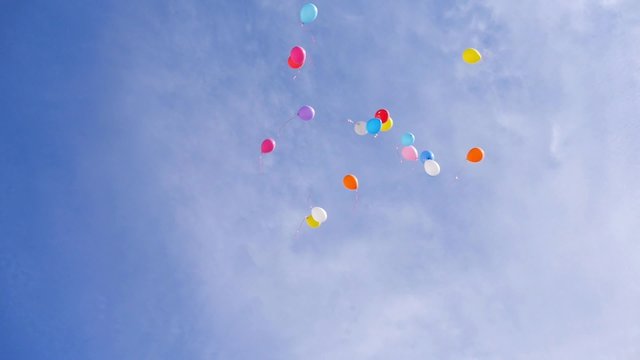 balloons fly up in the sky