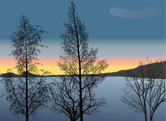 four bare trees near lake illustration