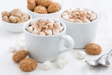 two cups of flavored cocoa with marshmallow and cookies, closeup