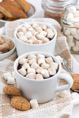 two cups of flavored cocoa with marshmallow