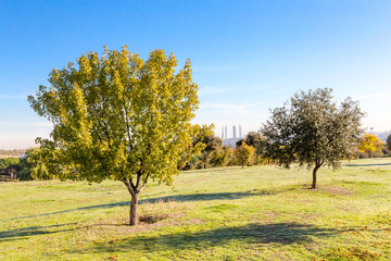 Fototapeta premium Horizonte de Madrid contaminado