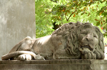 Fototapeta na wymiar Art sculpture of a lion. City of Lviv, Ukraine.