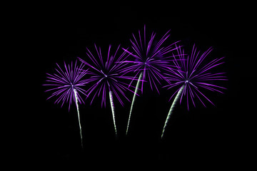 Fototapeta premium Colorful fireworks over dark sky