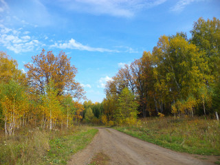 осенний лес