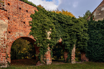 Obraz premium Ruine der Klosterkirche Himmelpfort
