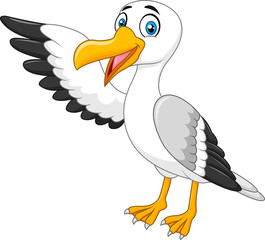 Fototapeta premium Cartoon seagull presenting isolated on white background