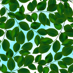 Fototapeta na wymiar Green leaves canopy and sky in a seamless pattern