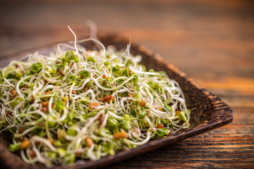 Mix of green young sprouts