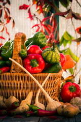 basket full fresh vegetables rural setting