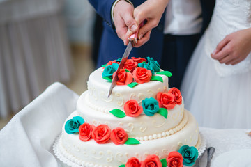 Obraz na płótnie Canvas Newlyweds cutting the wedding cake