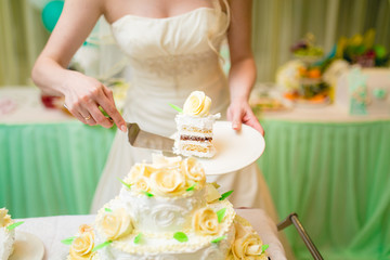 Obraz na płótnie Canvas Newlyweds cutting the wedding cake