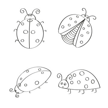 Set of hand drawn ladybugs. Outline. Vector collection of ladybirds.