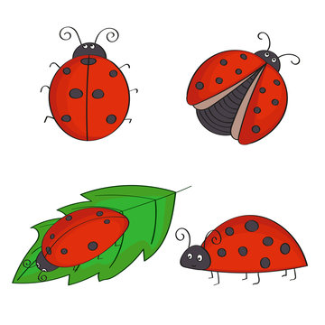 Set of hand drawn ladybugs. Vector ladybirds collection.
