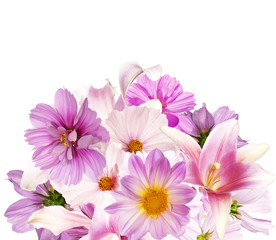 Obraz na płótnie Canvas Beautiful bouquet pink flowers garden on white background 