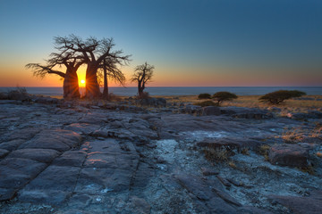Sunrise at the Baobabs