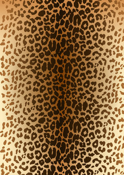 Leopard spotted fur pattern