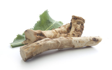 Horseradish's root and green leaf