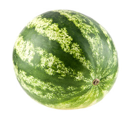 water-melon