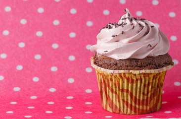 Cupcake on colored pink backround