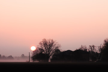 autumn landscape with sun, trees and fog