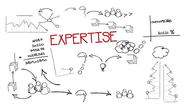 Expertise dessin à la main animation expert consultant trading diagramme noir et blanc