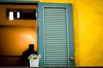 Fototapeta na wymiar Flowerpot on window sill