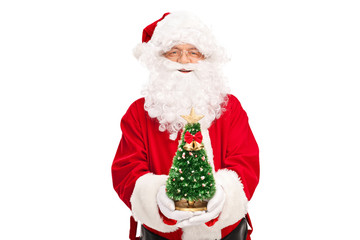 Santa Claus holding a small Christmas tree