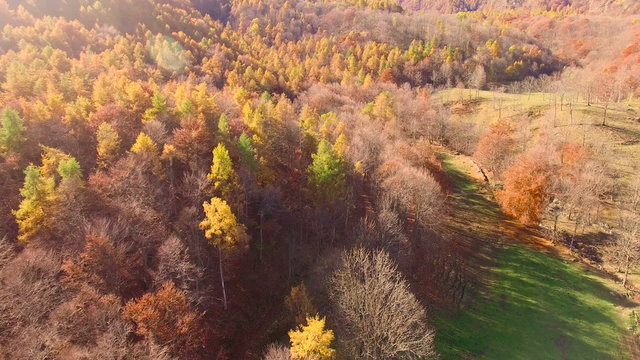 Flying with drone over woodlans in a beautiful sunny day of autumn