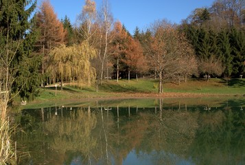 Fototapeta na wymiar Lac de la Mirande