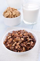 Chocolate granola and milk