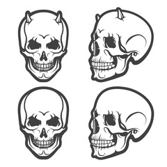 Skull vector set