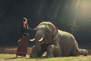 Fototapeta na wymiar The girl and the elephant