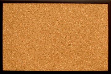 Fototapeta premium The cork board