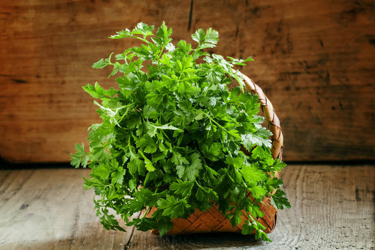 bunch of green flat leaf Italian parsley in wicker basket on an