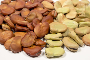 Seeds of broad bean of different harvests, older are brown color and more recents still greens