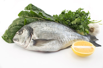 Fish dorade with swiss chard, parsley, garlic and lemon