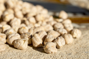 Detail view of dried white chickpeas